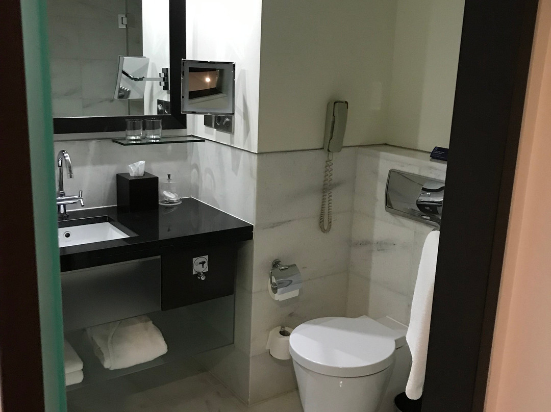 基辅凯悦酒店主图