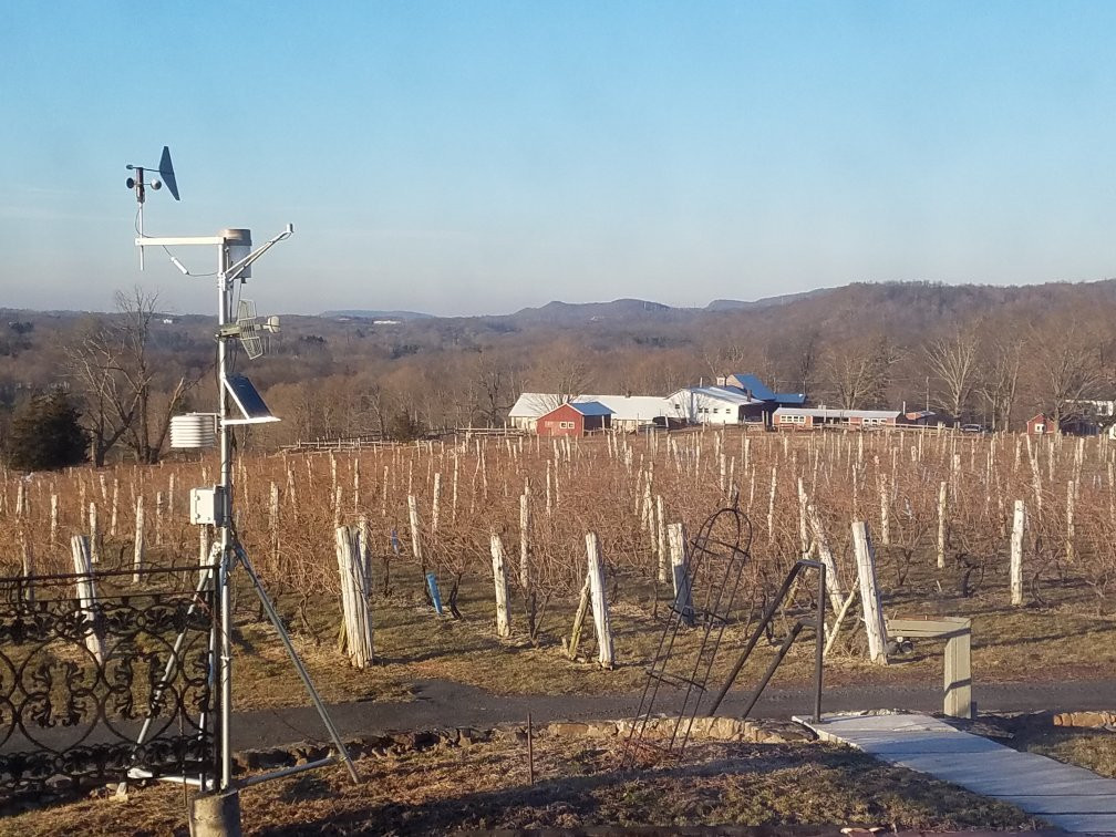 Gouveia Vineyards-沃灵福德必去景点