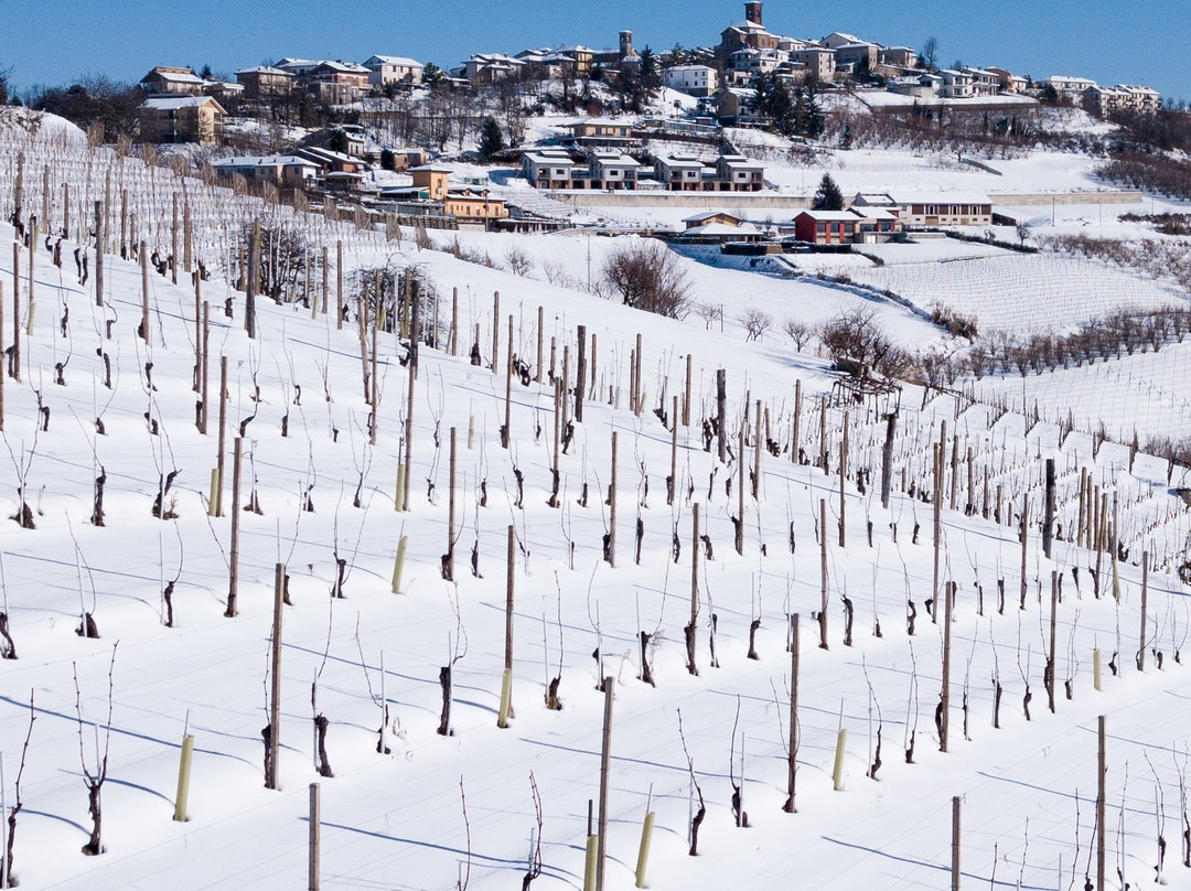 Montelupo Albese旅游攻略图片