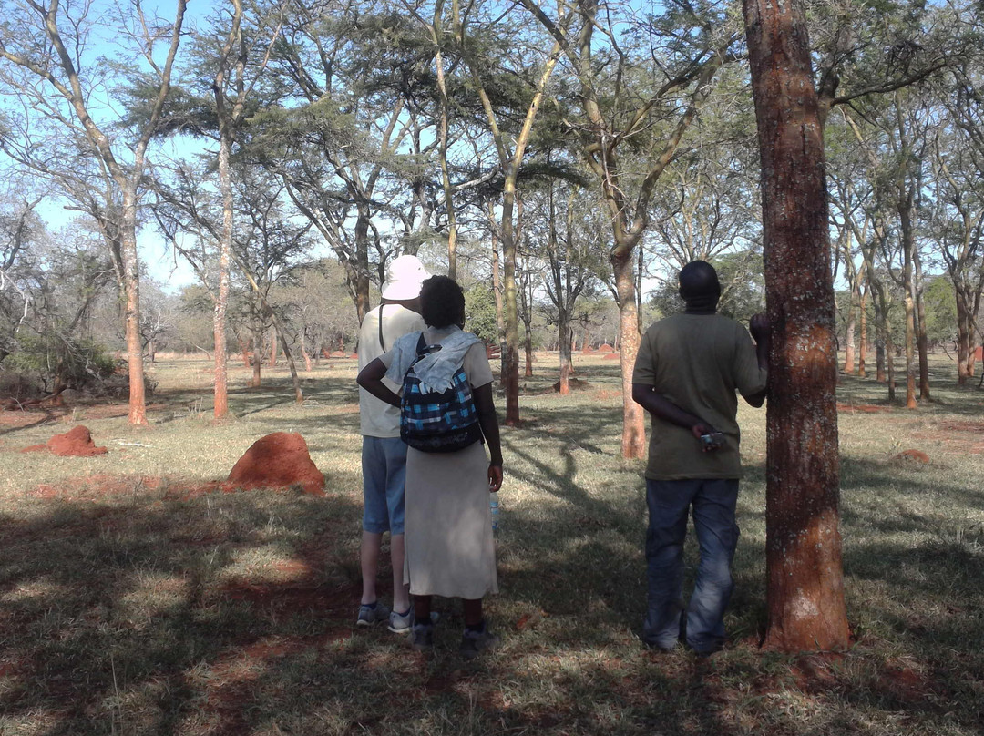 Nakasongola旅游攻略图片