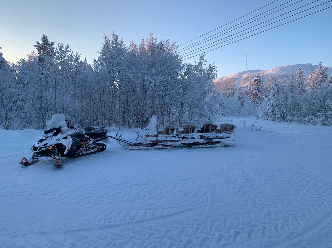 Pyhä Safaris-Pyhatunturi必去景点