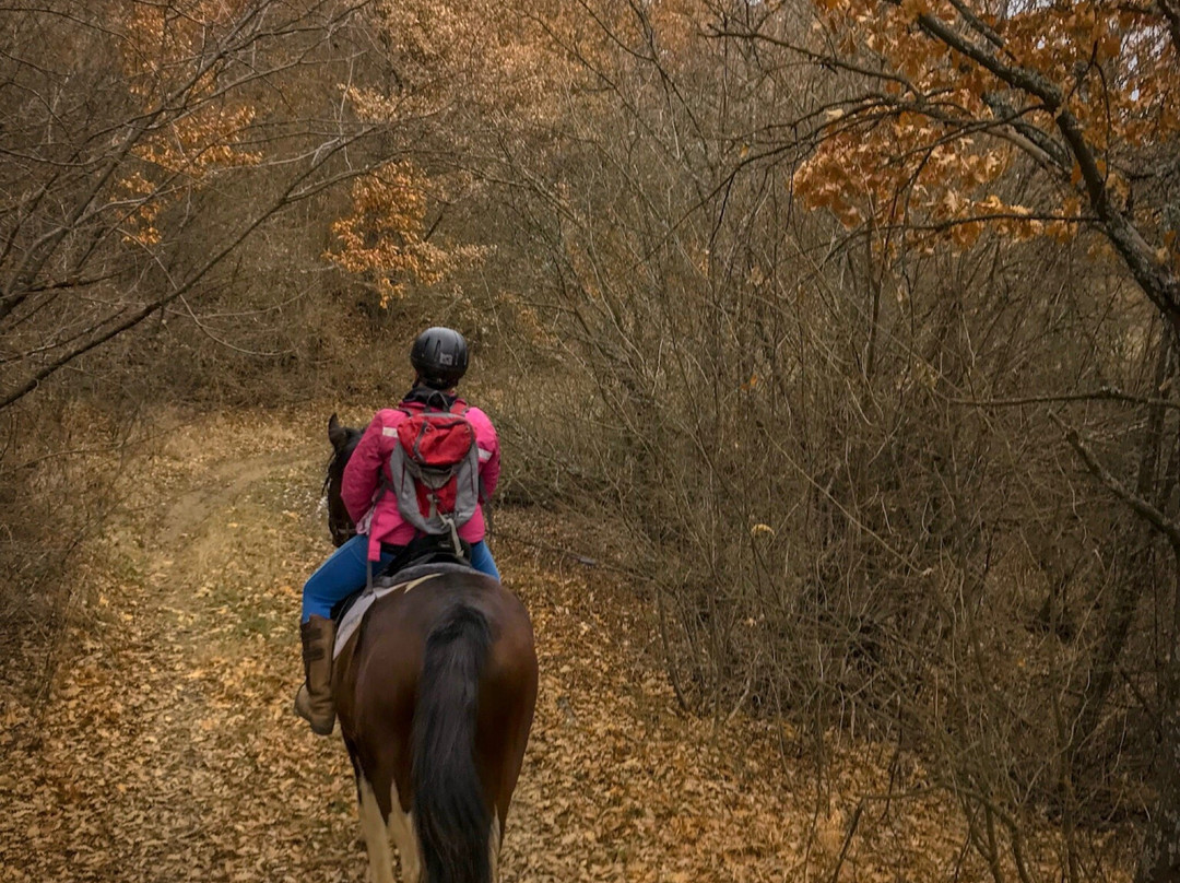 Happy Trails-Malko Dryanovo必去景点
