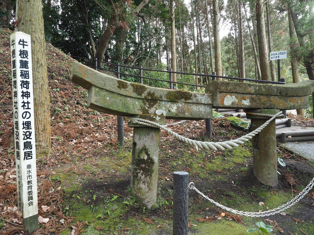 Ushine Fumoto Inari Shrine Buried Torii-垂水市必去景点