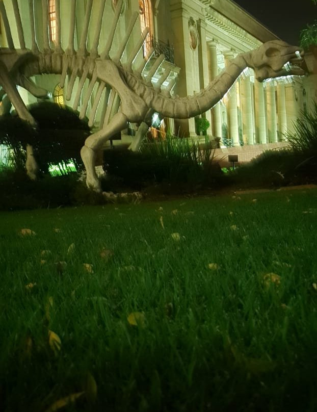 Museum of Natural History-比勒陀利亚必去景点