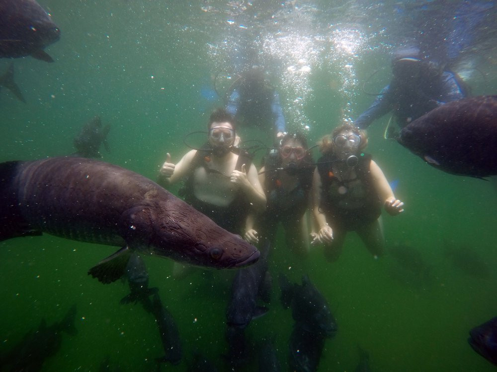 Eko Aventura Park-热河市必去景点