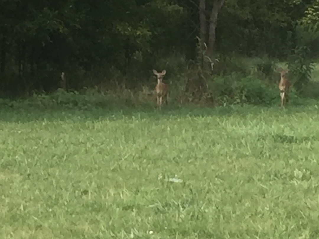 Quail Ridge Park-Wentzville必去景点