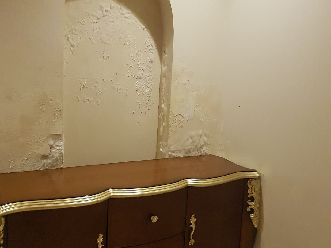 Regenta Resort Shyam Bharatpur主图