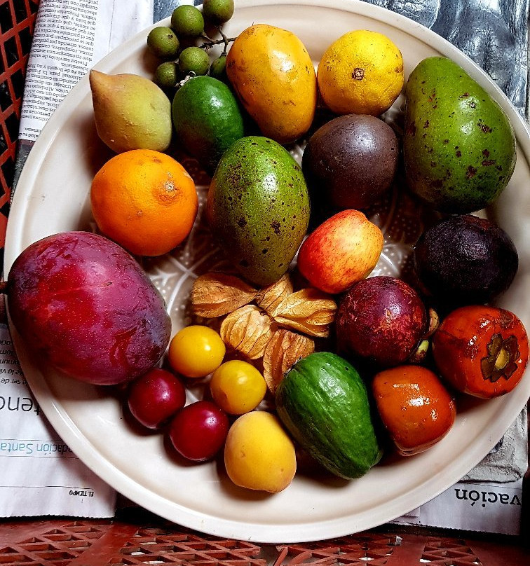 El Tour de la Fruta-波哥大必去景点