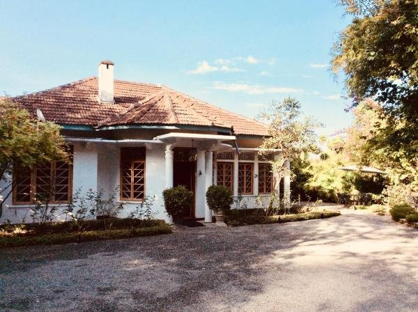 The Mount Pleasant主图