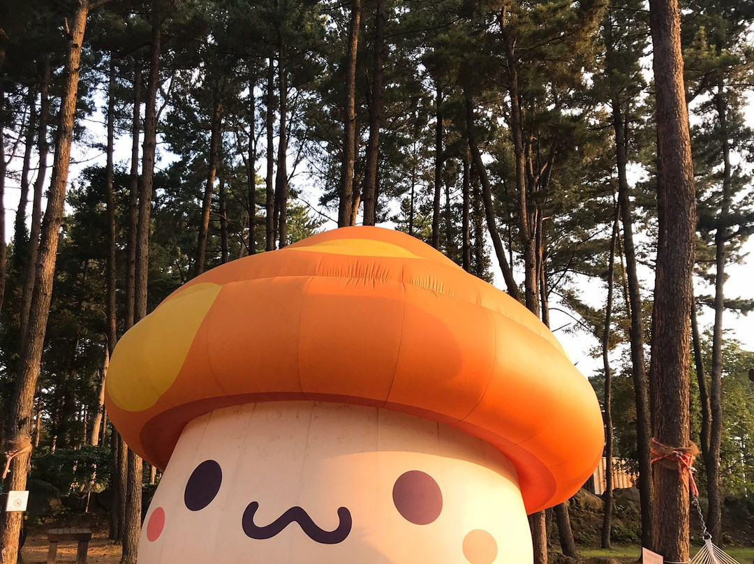 Nexon Computer Museum-济州必去景点