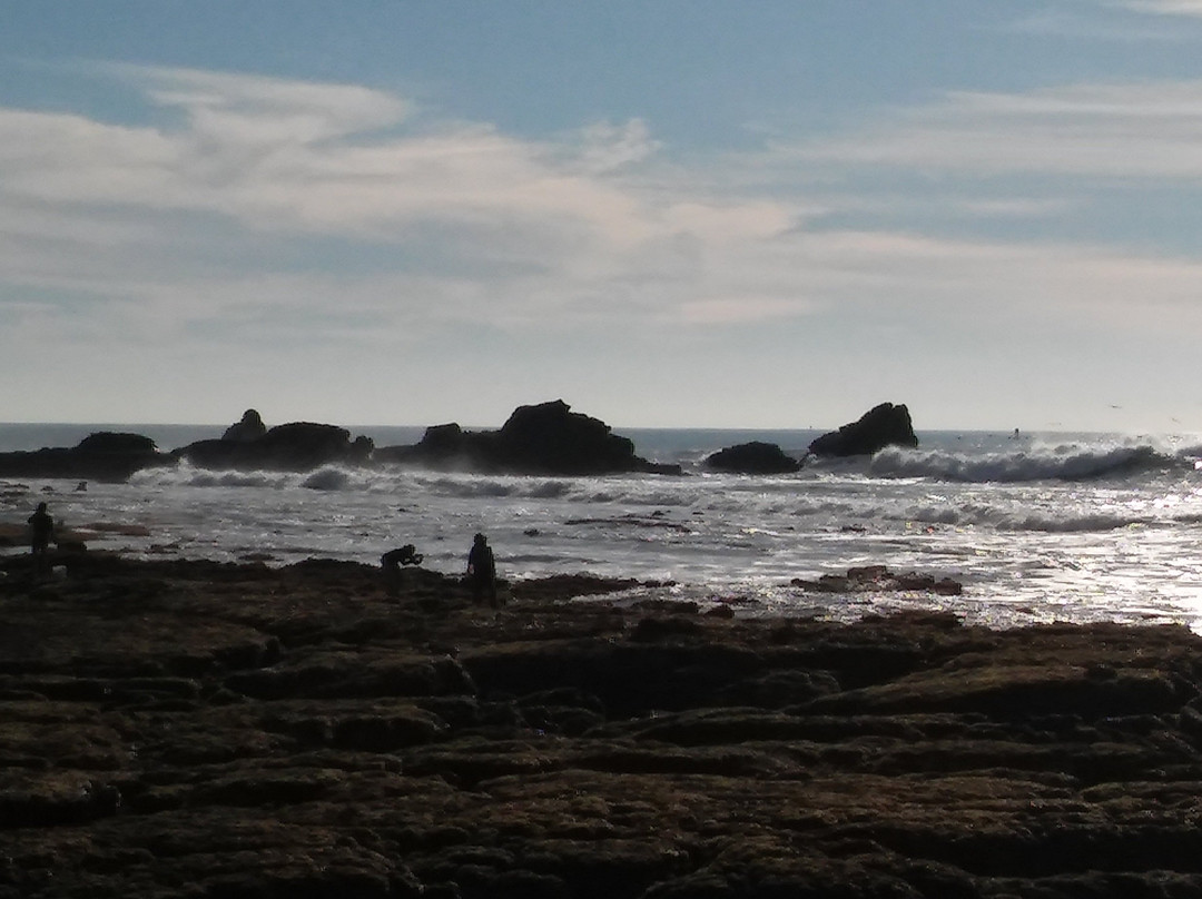 Mavericks Beach-半月湾必去景点