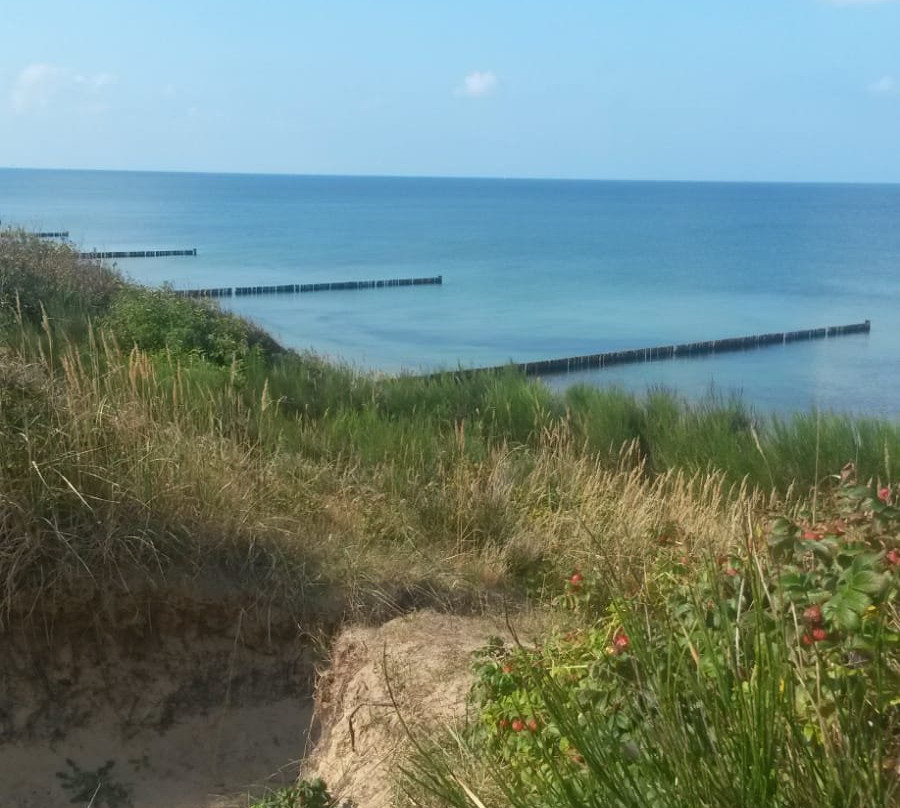 Ostsee Naturpension主图