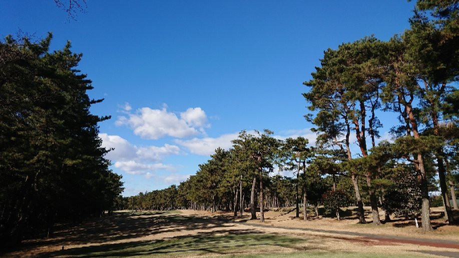 Murasaki Country Club Murasaki Ayame Course景点图片