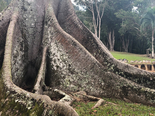 Parque Ceremonial Indigena de Caguana-波多黎各必去景点