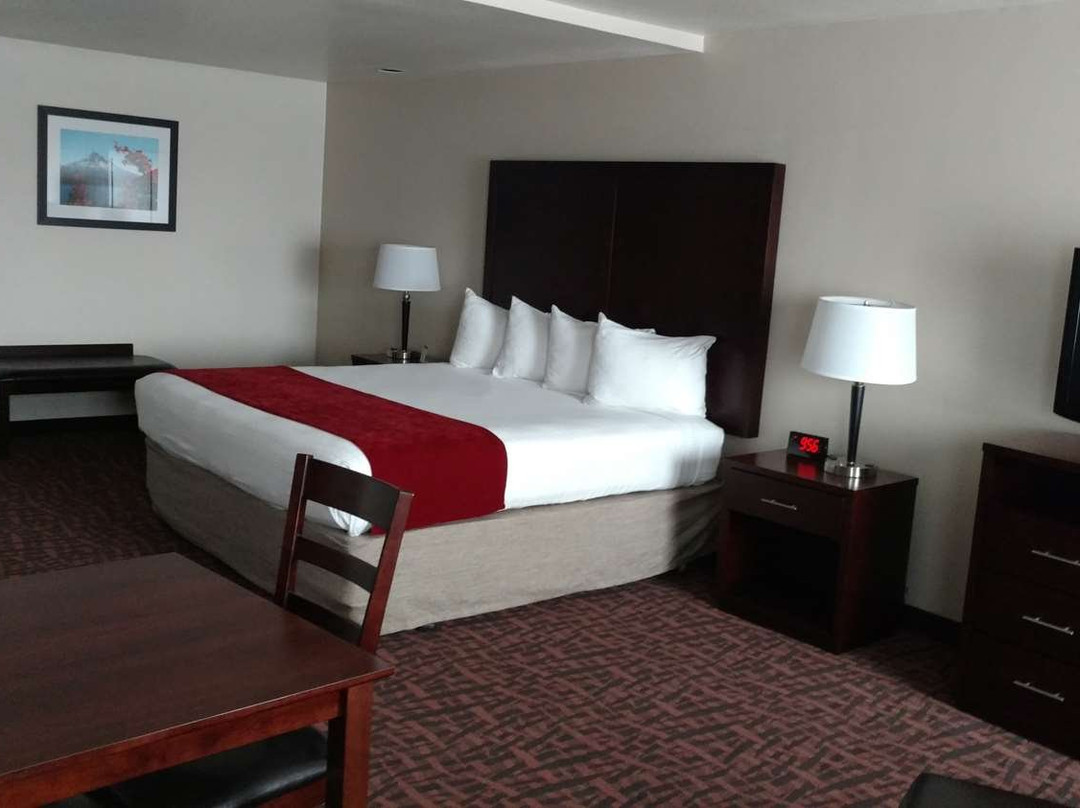 最佳西方小马士兵酒店主图