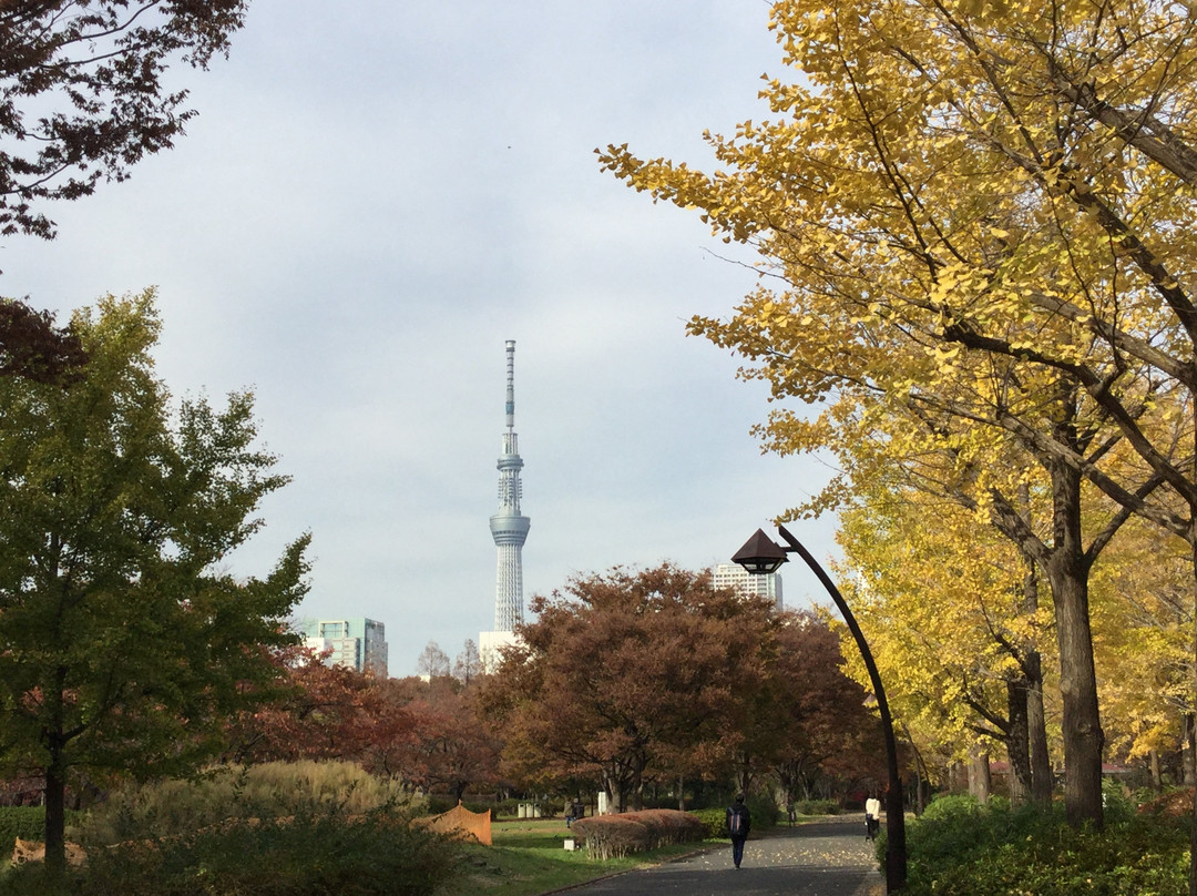 Sarue Onshi Park-江东区必去景点