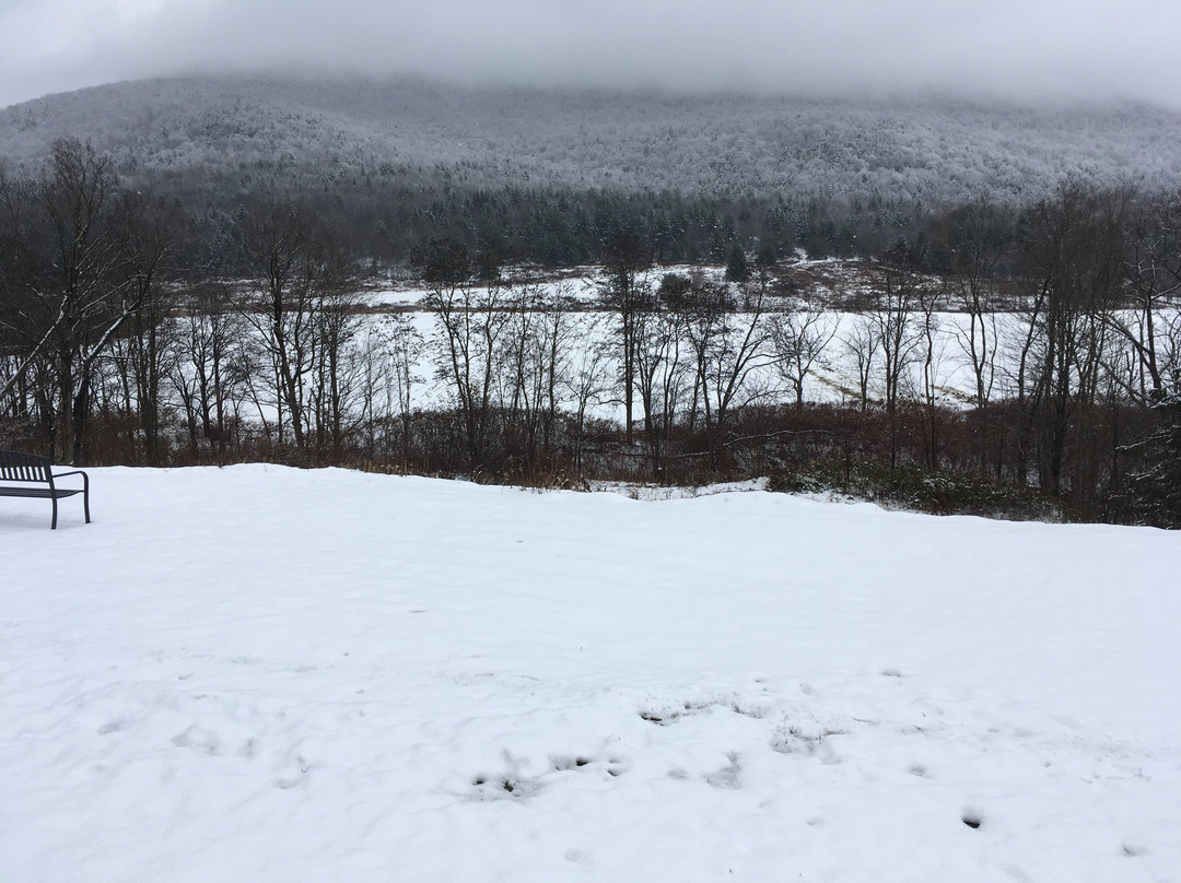 Cave Mountain Motel主图