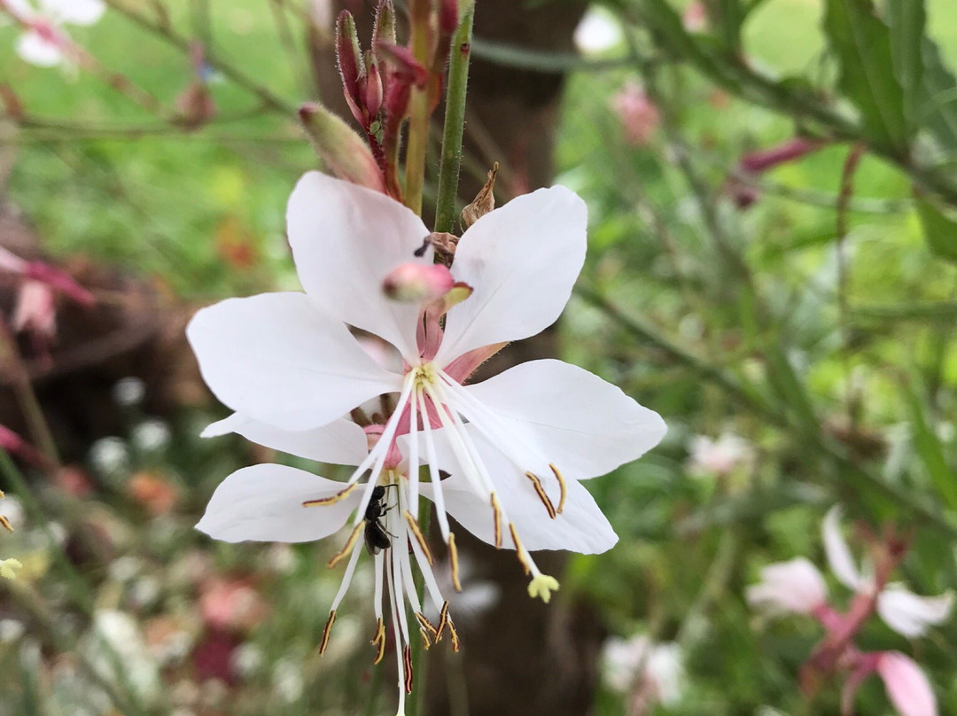 Muldersvlei Estate Guesthouse主图