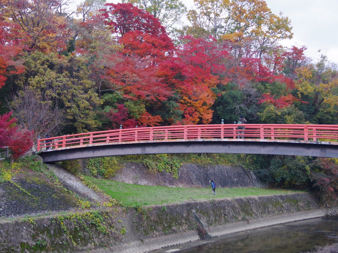 Tatsutagawa Walking Path景点图片