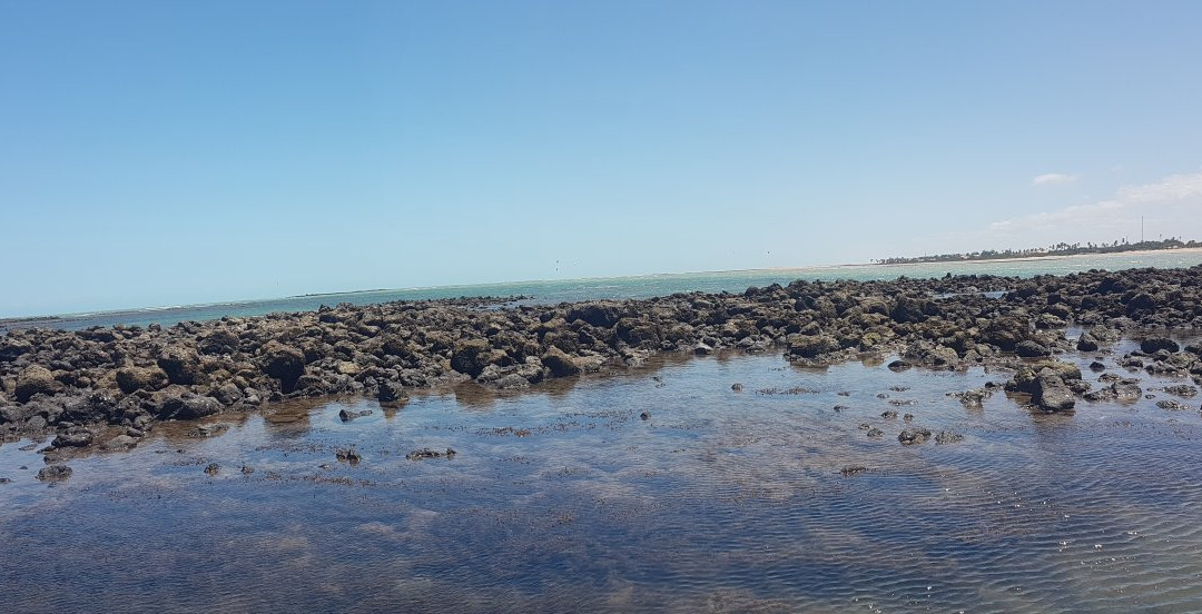 Praia do Coqueiro景点图片