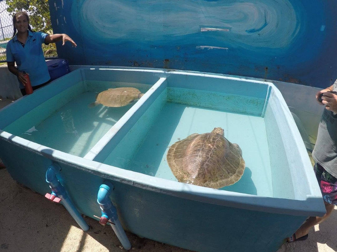 Atoll Marine Center-Naifaru必去景点