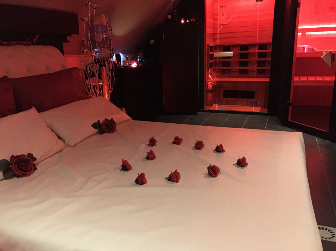 Aarts Wellness主图