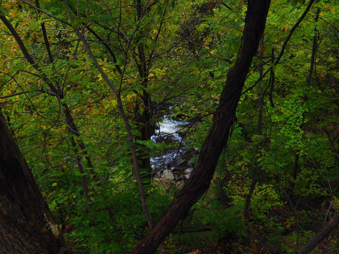 Great Falls of Tinkers Creek景点图片