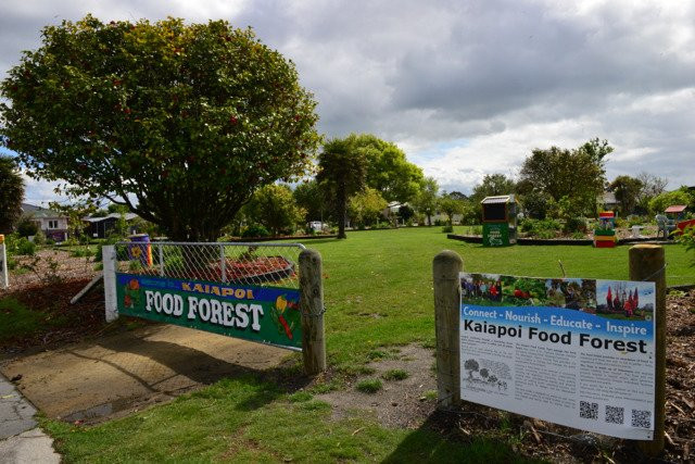 Kaiapoi Food Forest景点图片