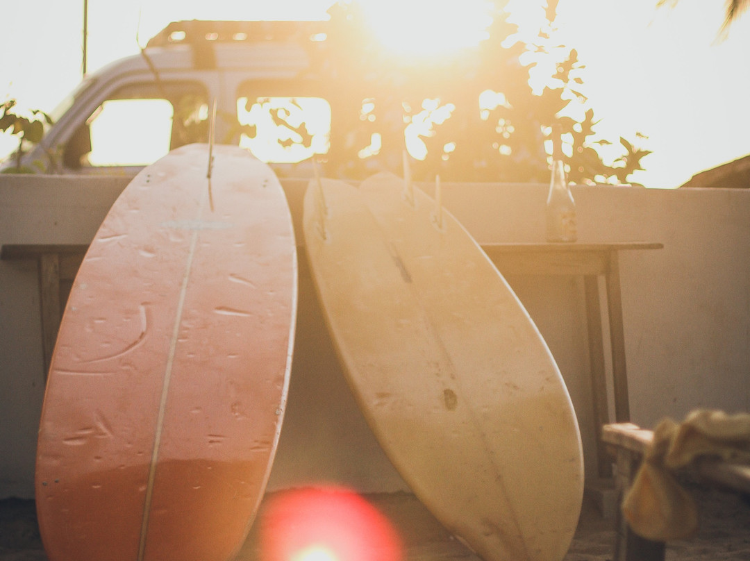 The Shaka Surf Club景点图片