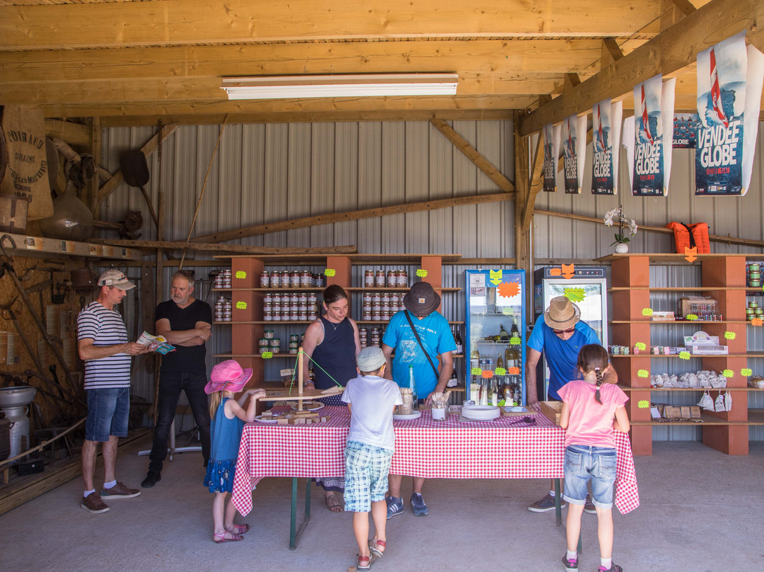 Labyrinthe en Vendee Vallee景点图片