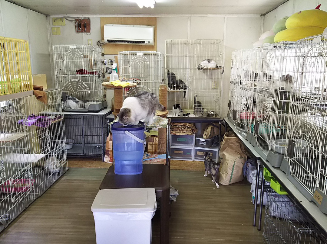 Nasu Ohkun Fureai Ranch-那须町必去景点