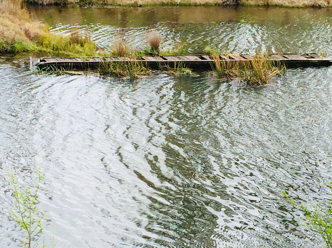 River Walk-Bombala必去景点