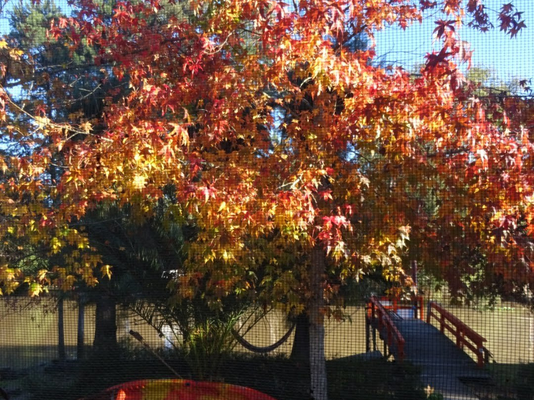 Gaia Hostal Delta主图