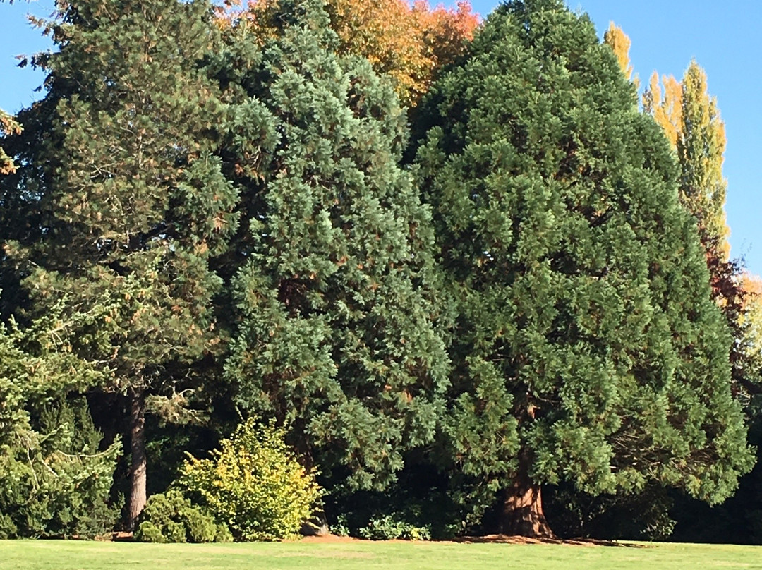 Rhododendron Park-Kenmore必去景点