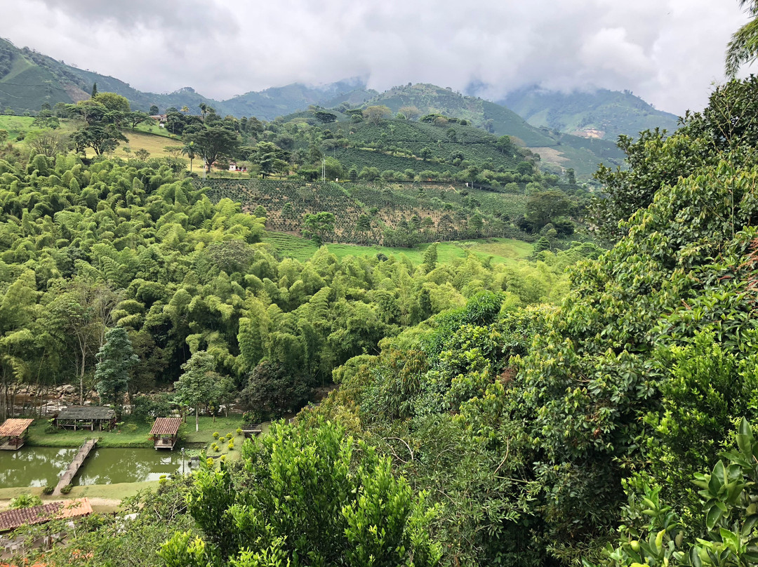 Finca Hotel Los Arrayanes主图