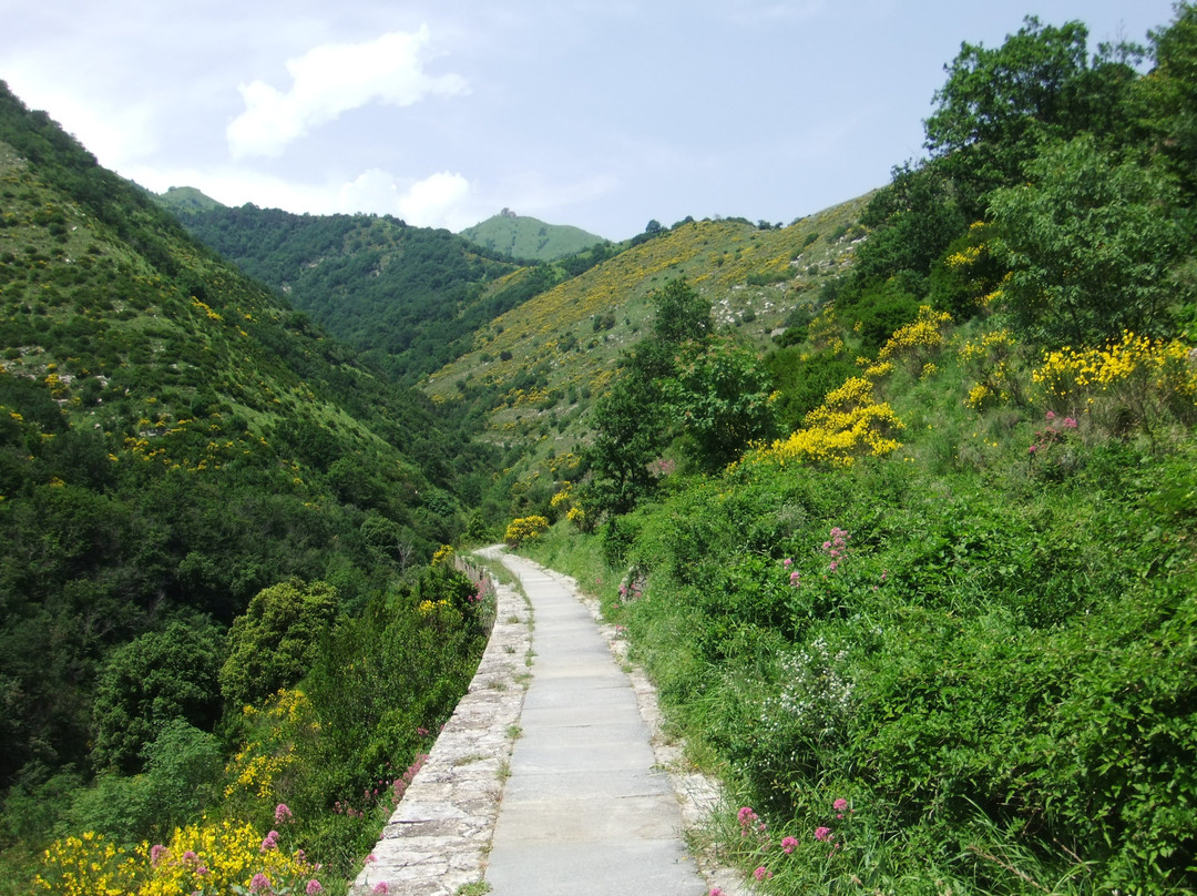 Sentiero dell' Acquedotto Storico di Genova景点图片