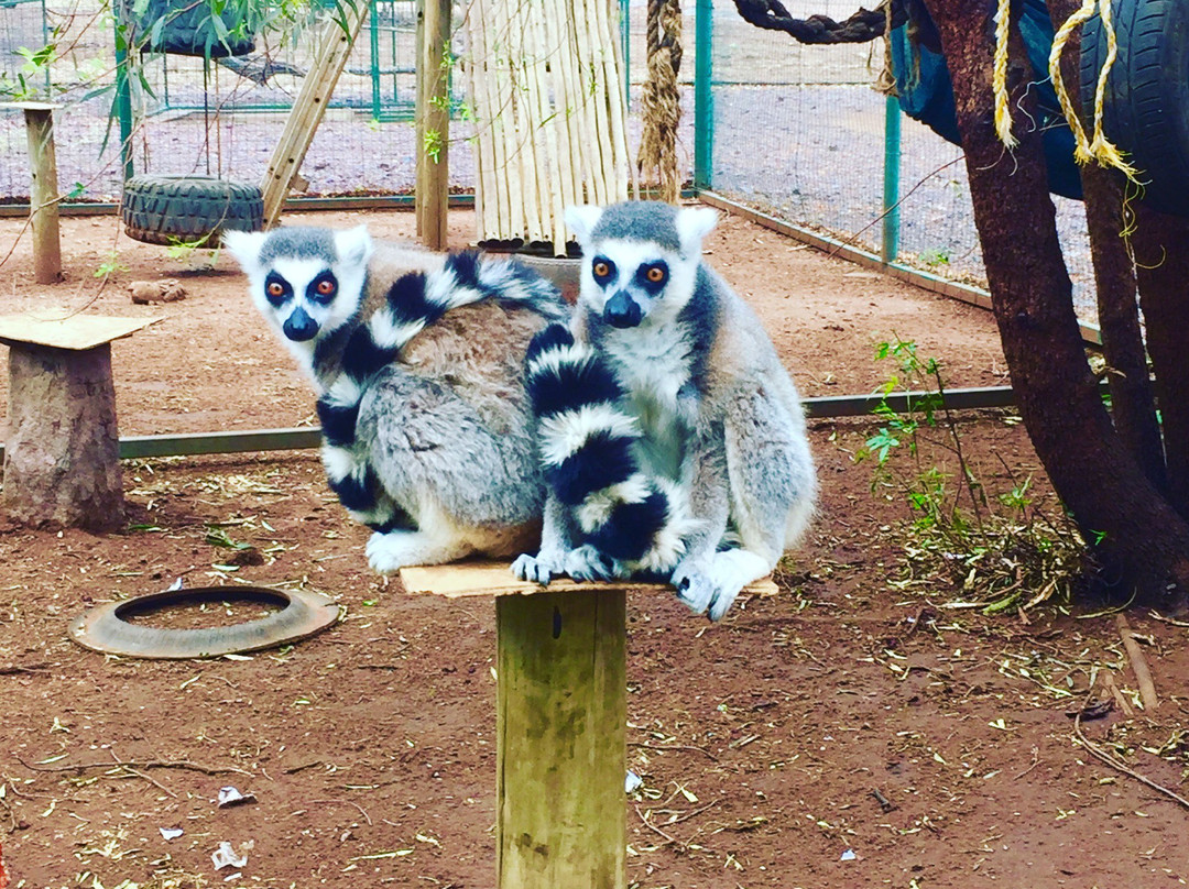 Marakele Animal Sanctuary-塔巴珍比必去景点