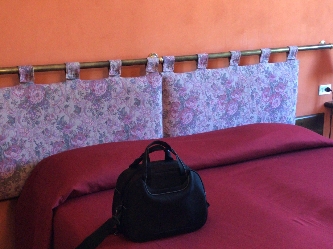 Hotel Il Granaio Mantova主图