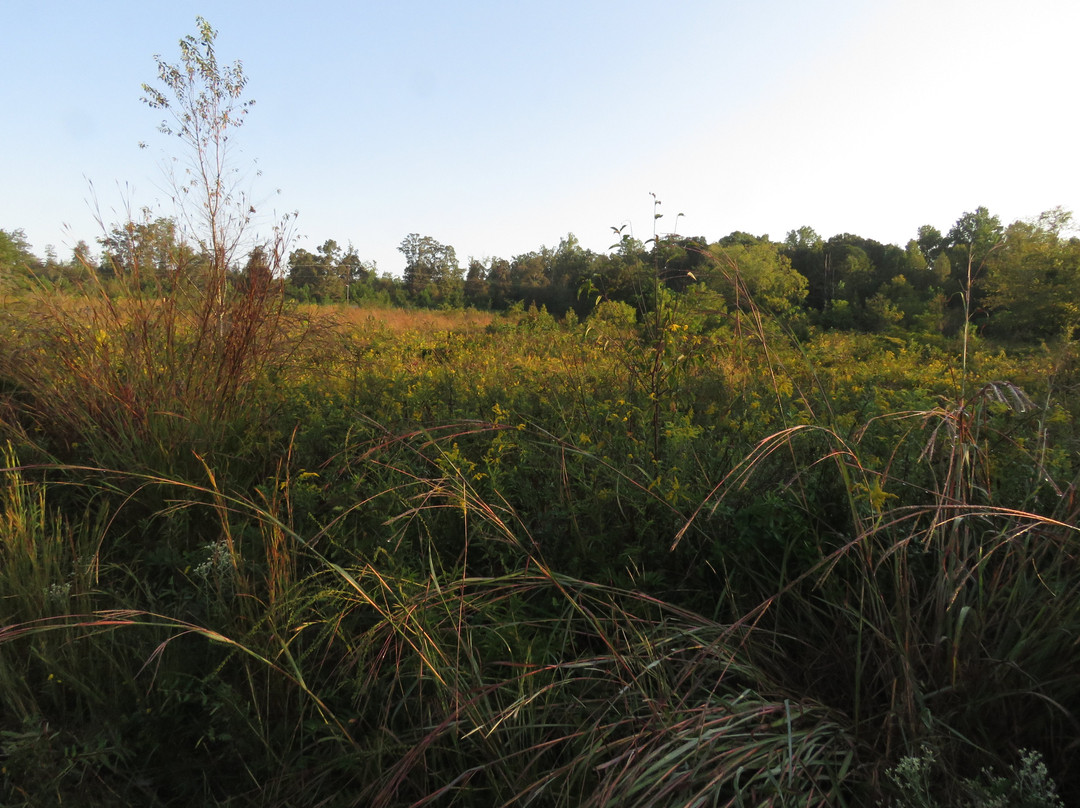 Bunched Arrowhead Heritage Preserve-Travelers Rest必去景点