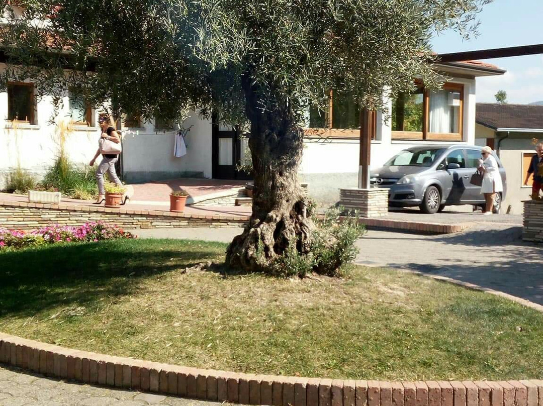 Ristorante Primula Bianca主图
