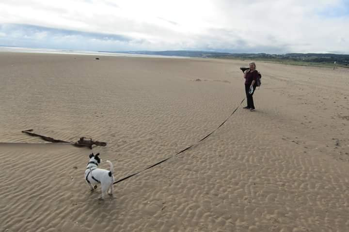 Dee Estuary at Point of Ayr景点图片