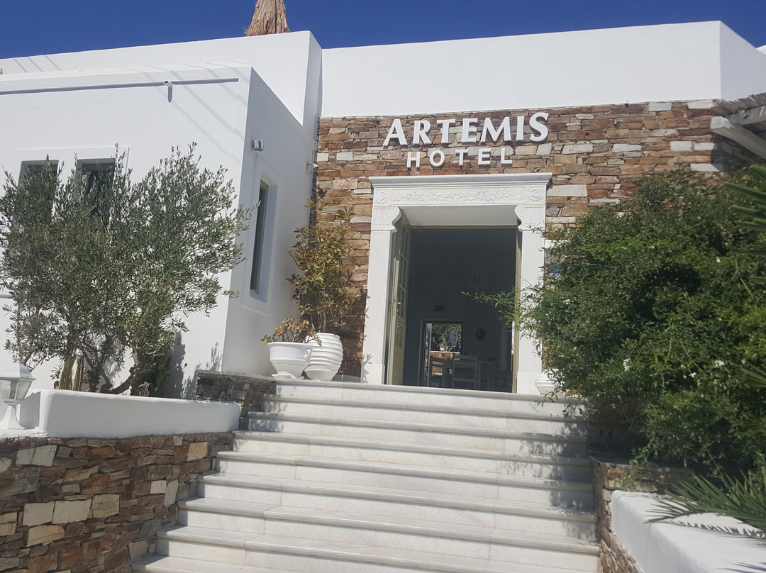 Artemis Hotel主图