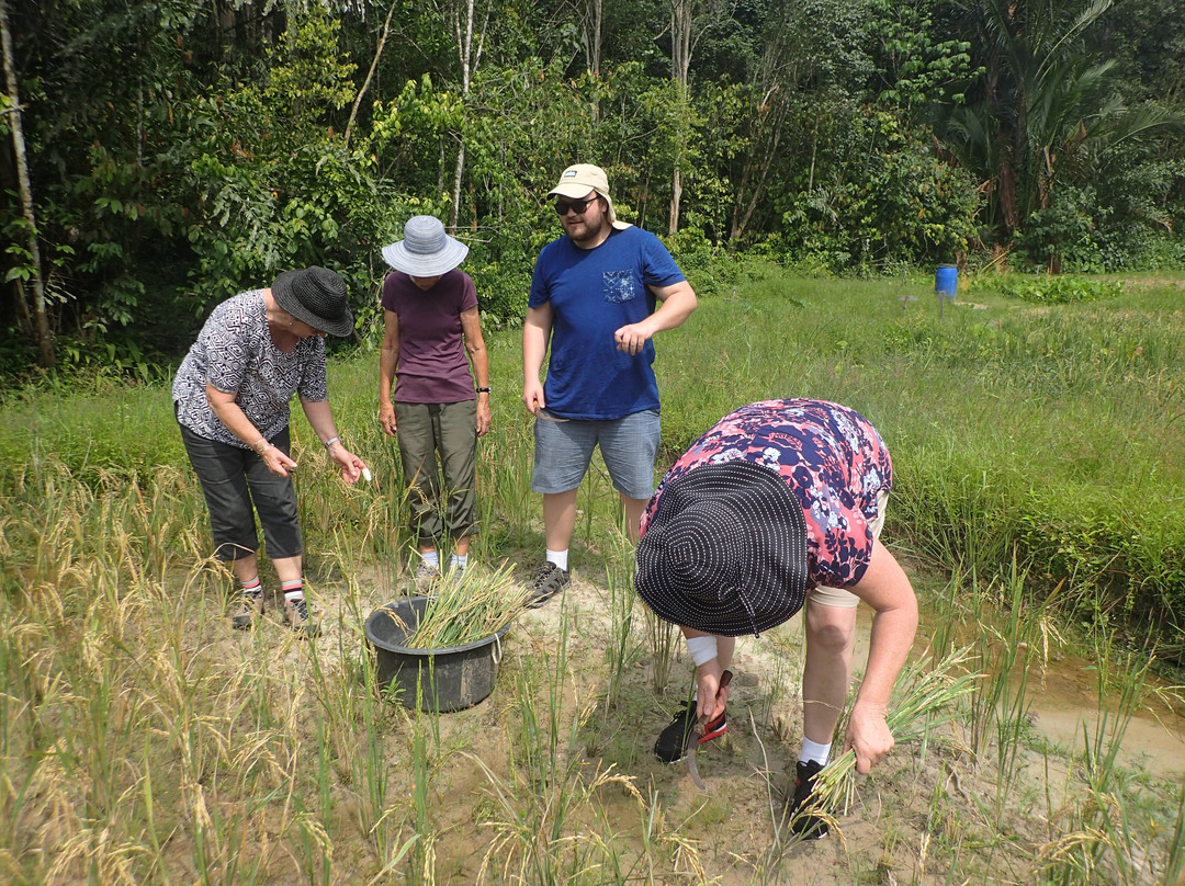 Kiulu Farmstay主图