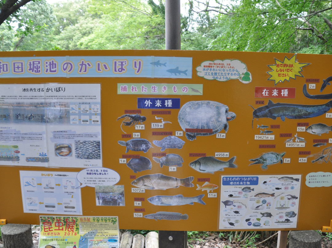 Wadabori Park-杉并区必去景点