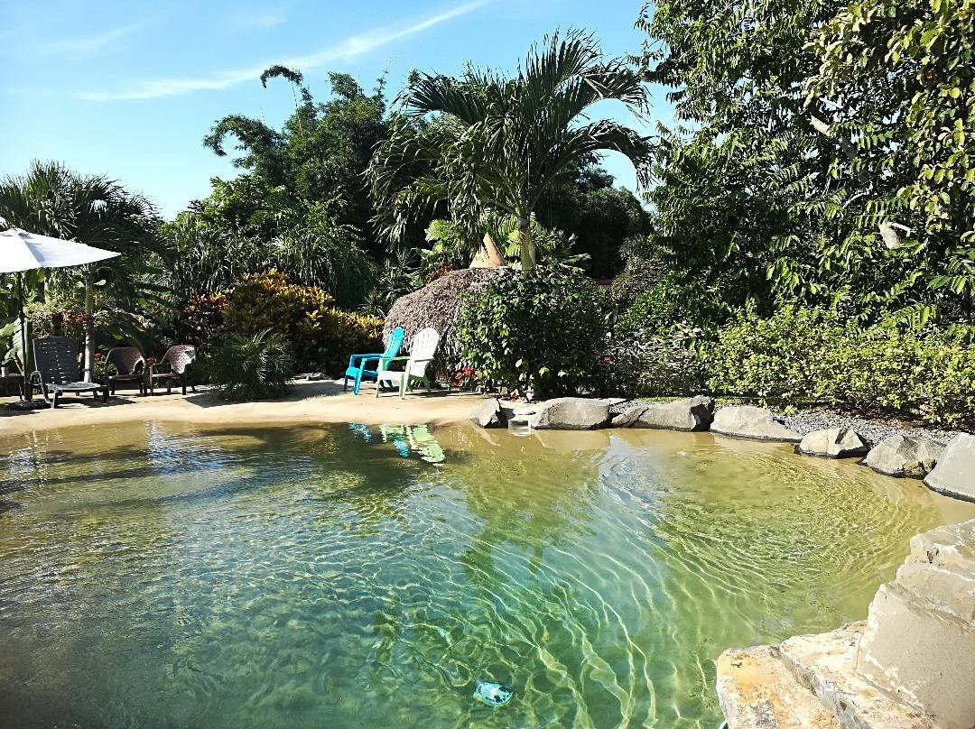 Cabañas los Colibris主图