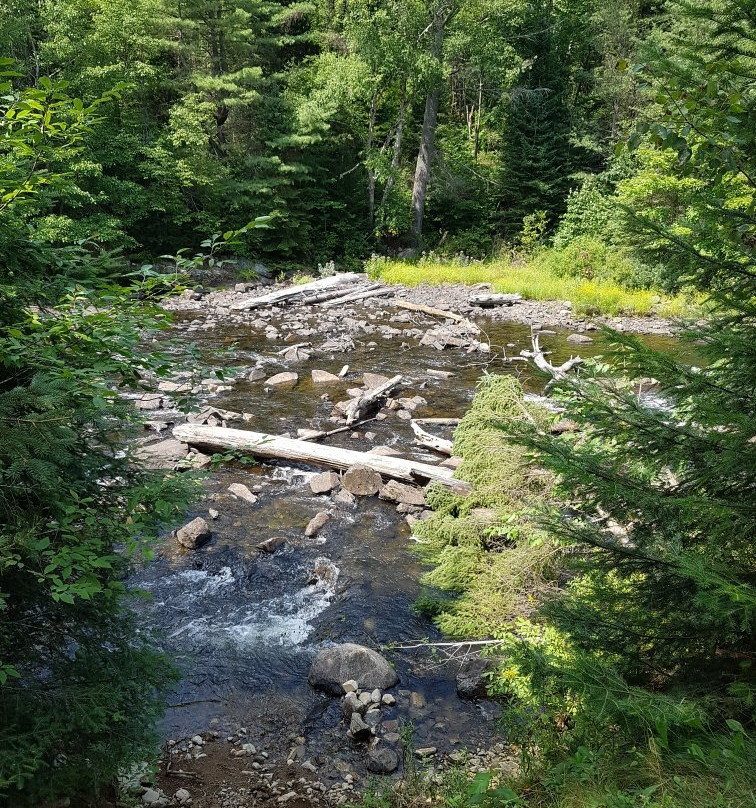 Algonquin Visitor Centre景点图片