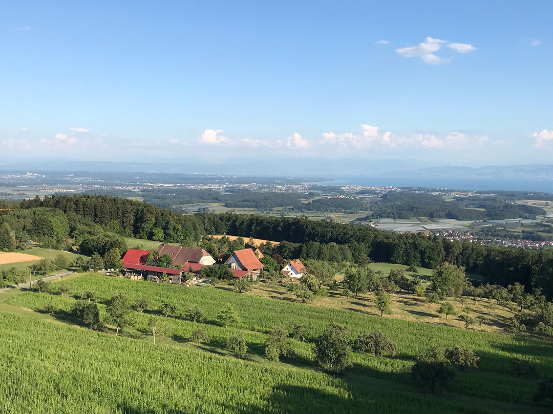 马克多夫旅游攻略图片