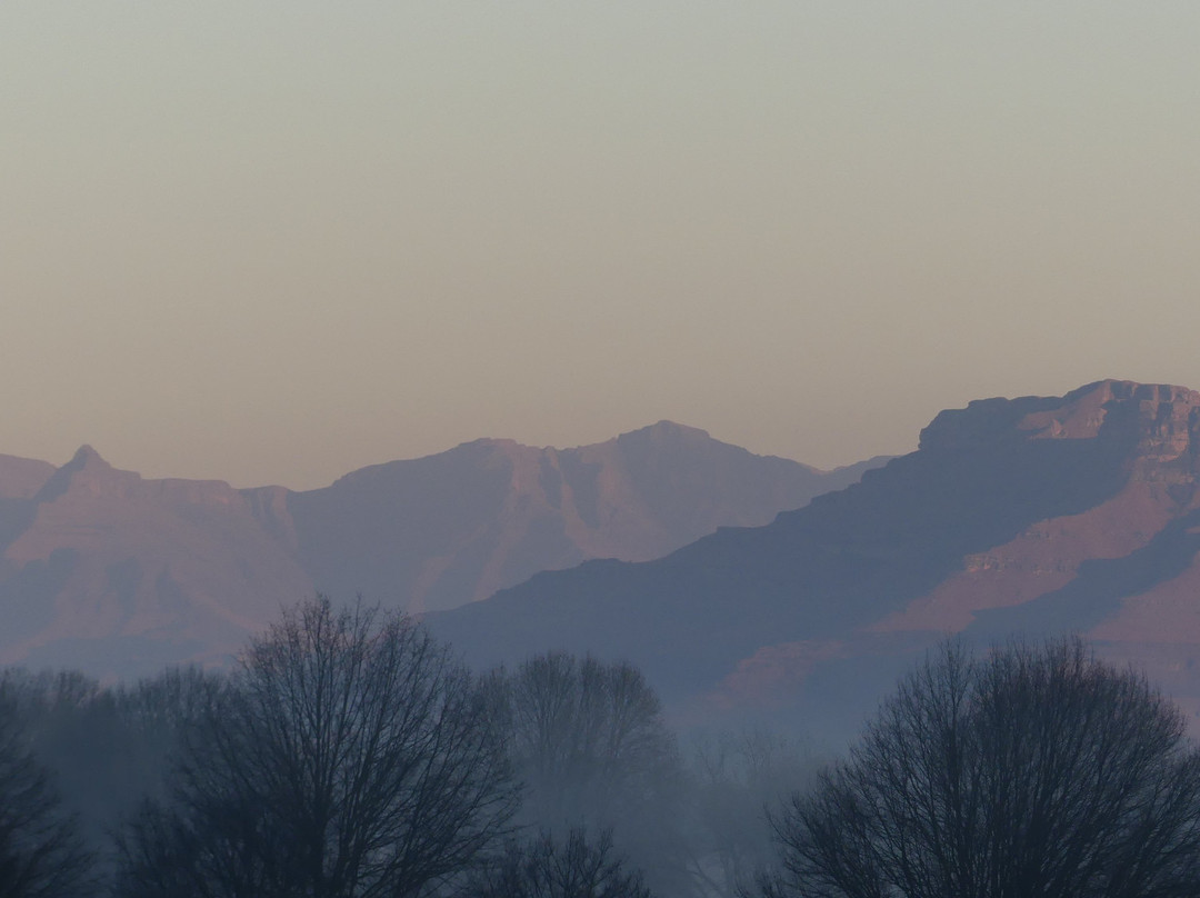 Country Comfort主图