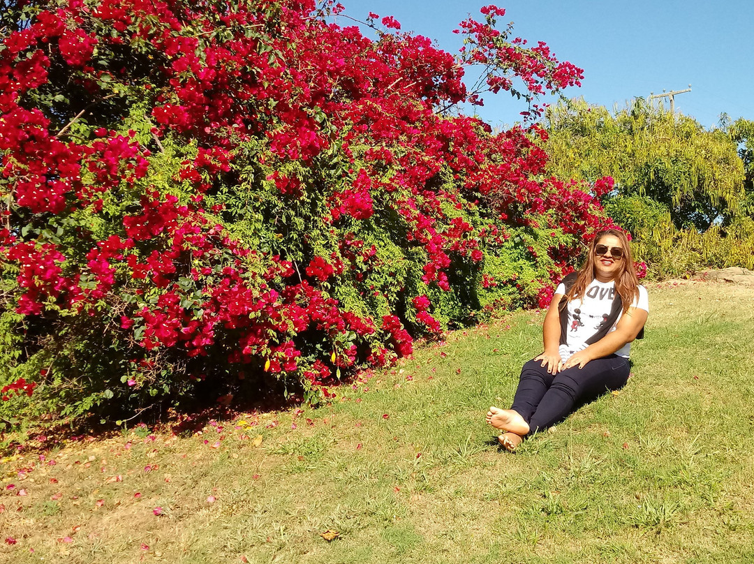 Hotel Sesc Triunfo主图