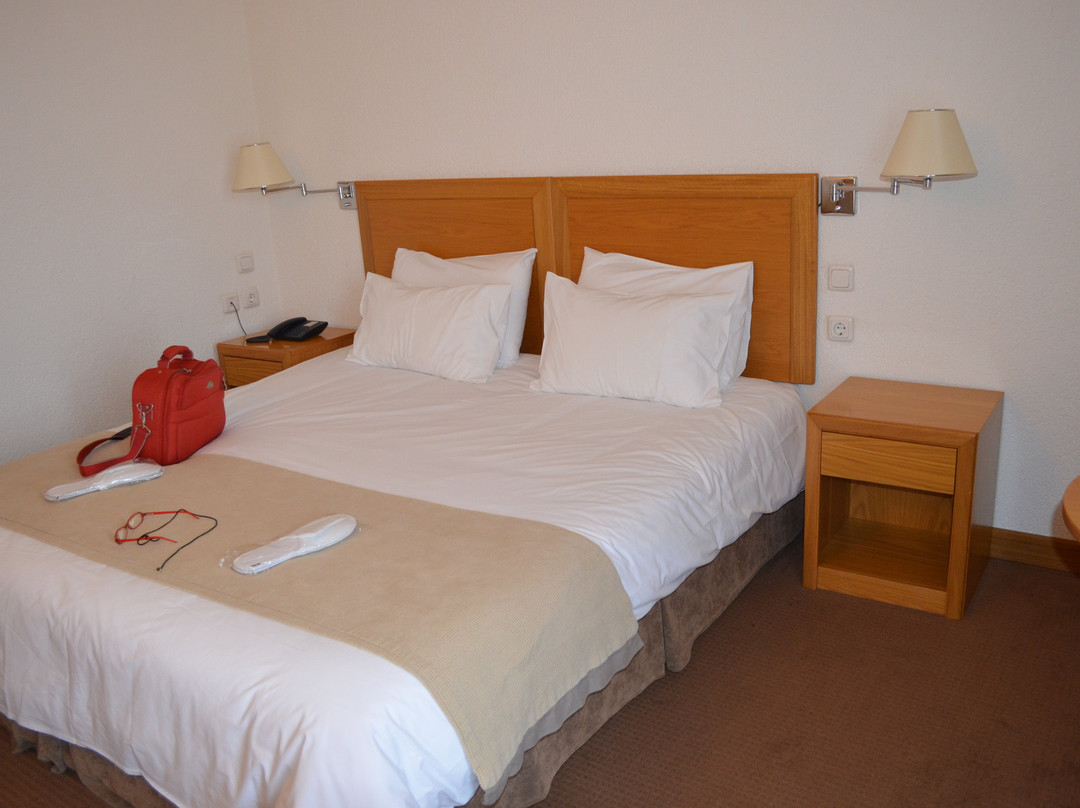 Hotel Parnassia主图